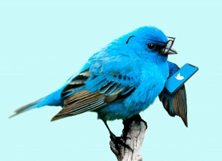 nuevo-cambio-de-twitter-2020