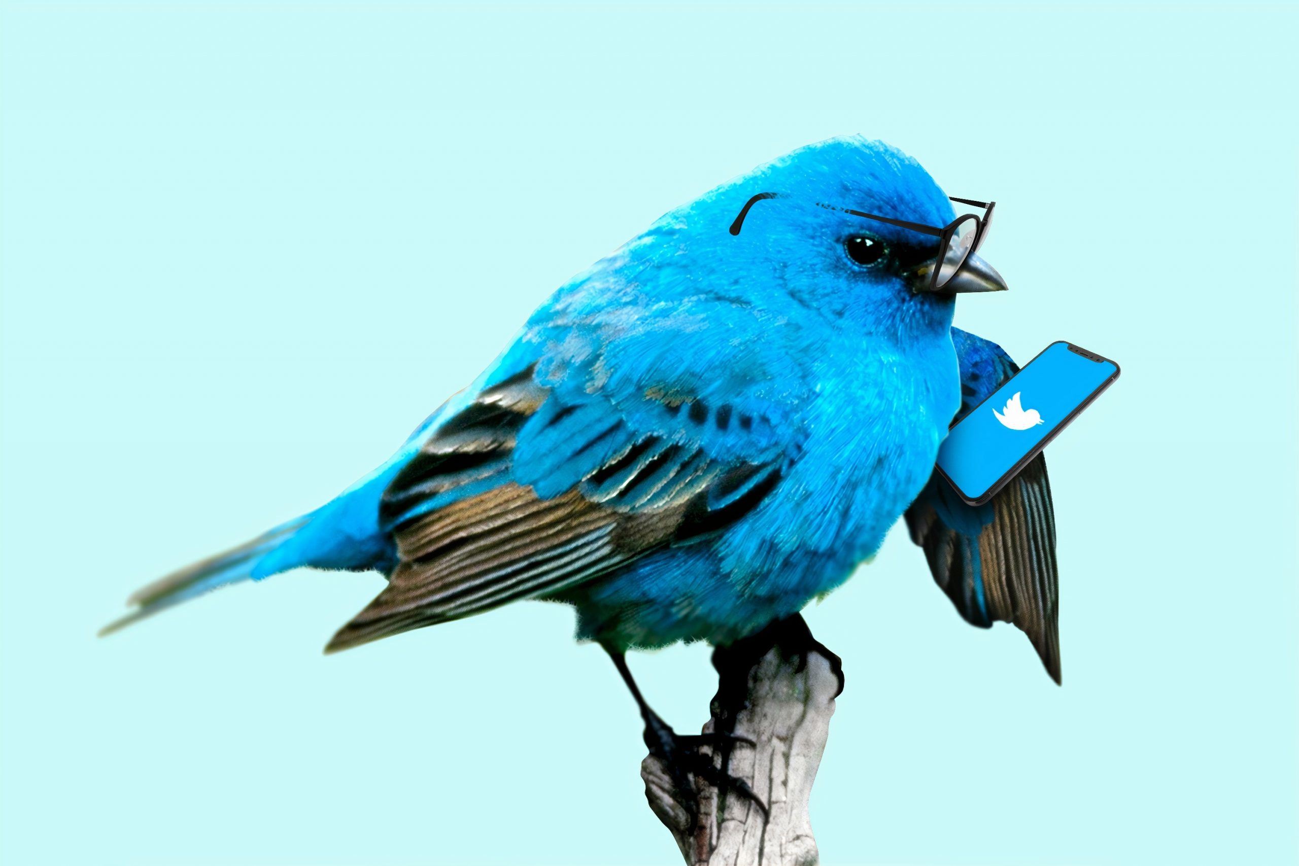nuevo-cambio-de-twitter-2020
