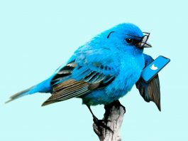 nuevo-cambio-de-twitter-2020
